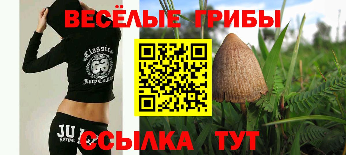 Галлюциногенные грибы мухоморы  Вход с VPN  Владивосток 